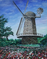 The Spinning Dutch