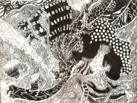 Falling Into Dream