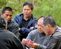 The Cardplayers