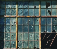 A Window\'s Story