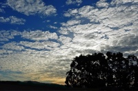 Bernal Sky